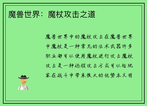 魔兽世界：魔杖攻击之道